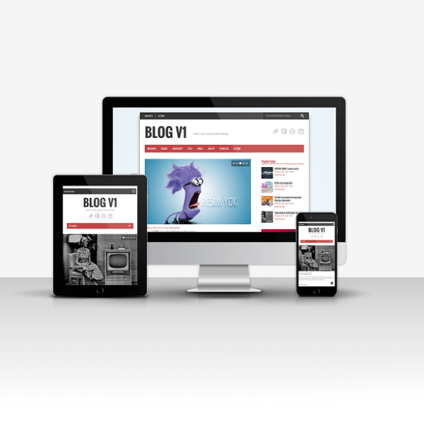 Blog V1