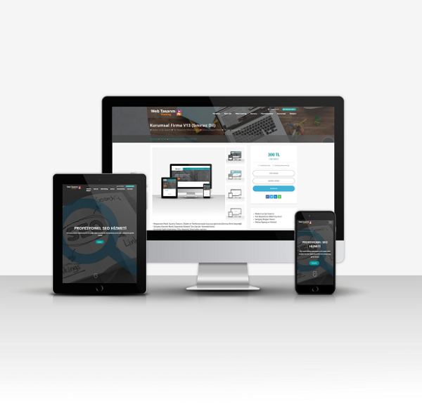 Web Satış + Domain + Hosting Satış V2 - Görsel 2